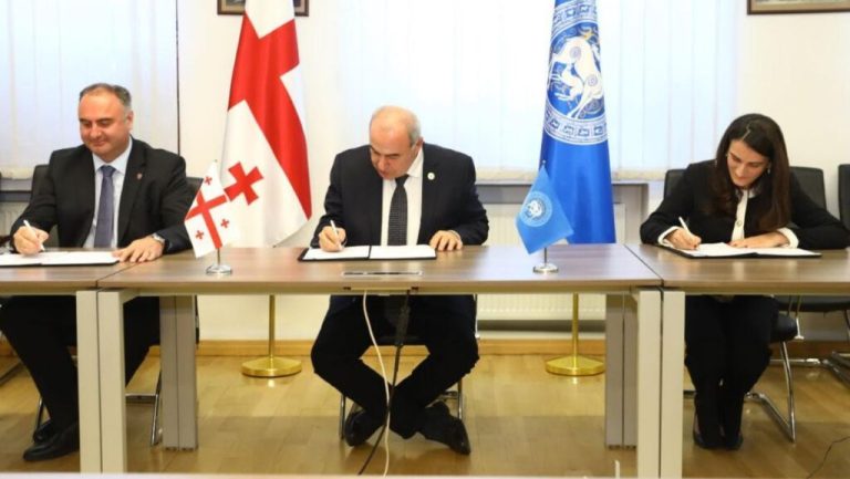 თავდაცვის ინსტიტუციური