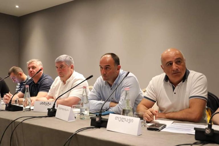 ახმეტა1