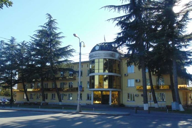 მარნეულის მერი