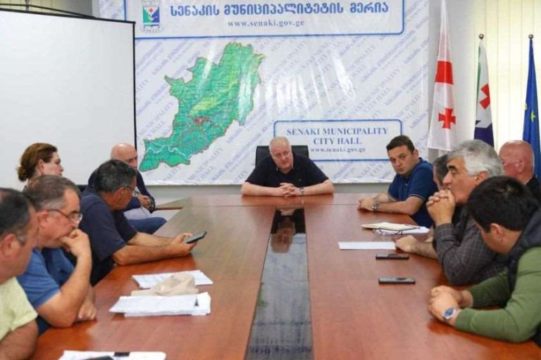 სენაკში