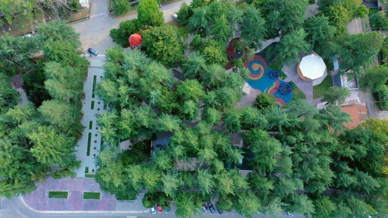 300427528_447172344013661_3812660254717898947_n