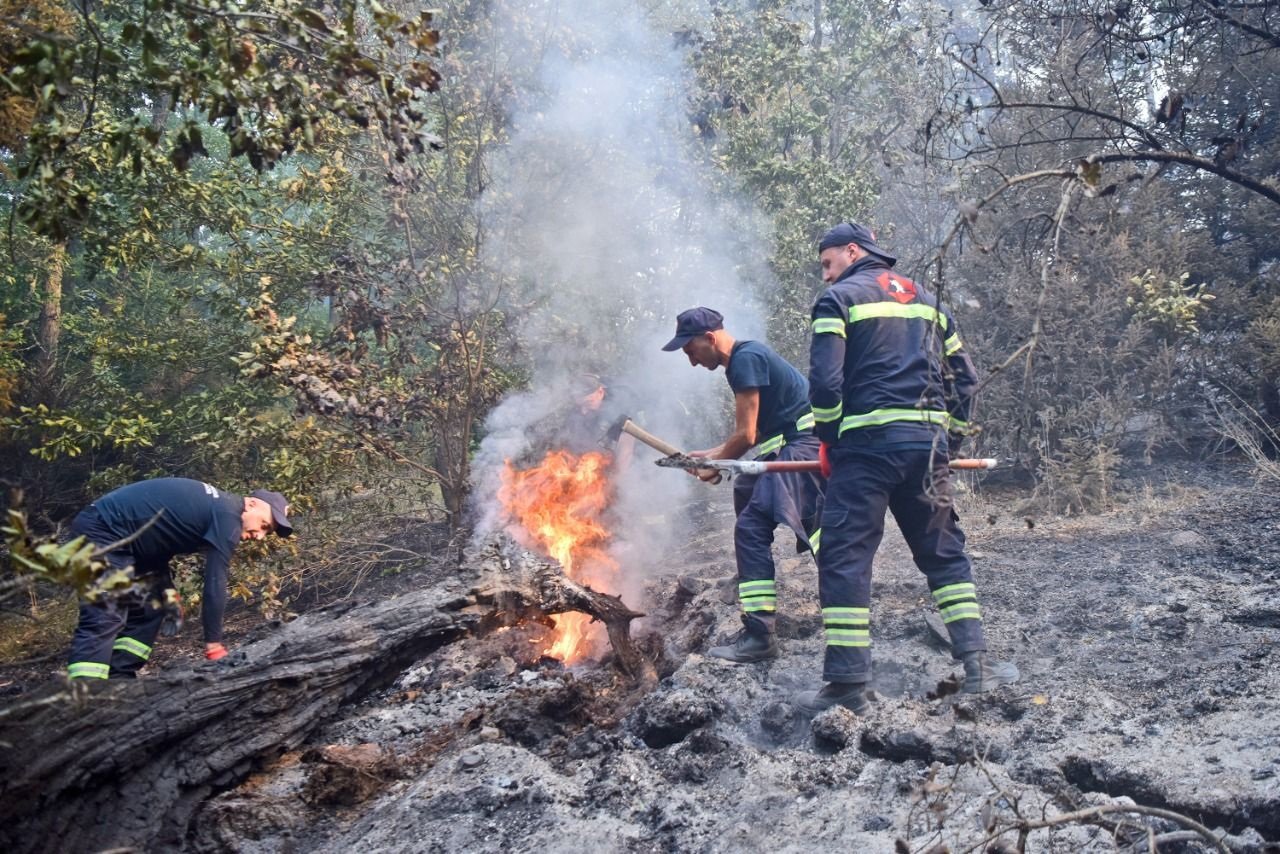 301577583_378281501147356_4795016815048426317_n