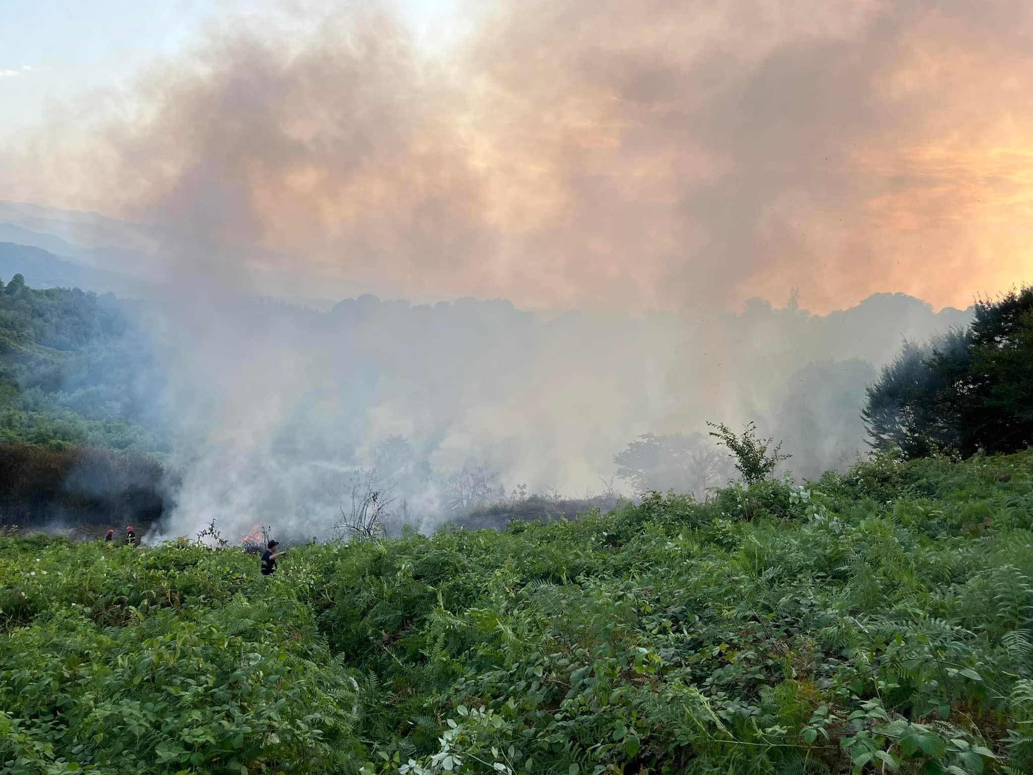 ხანძარი