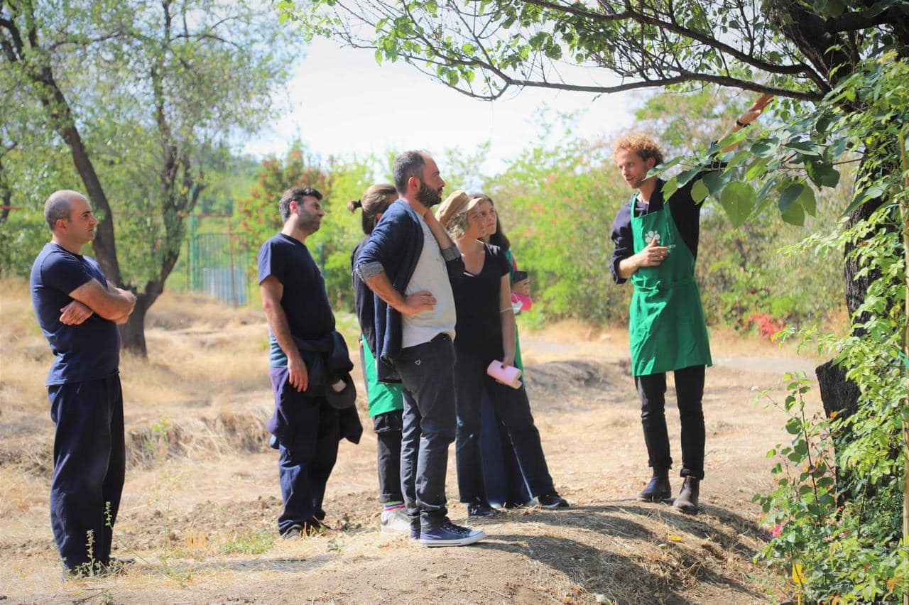 ტიმოთი შოუ