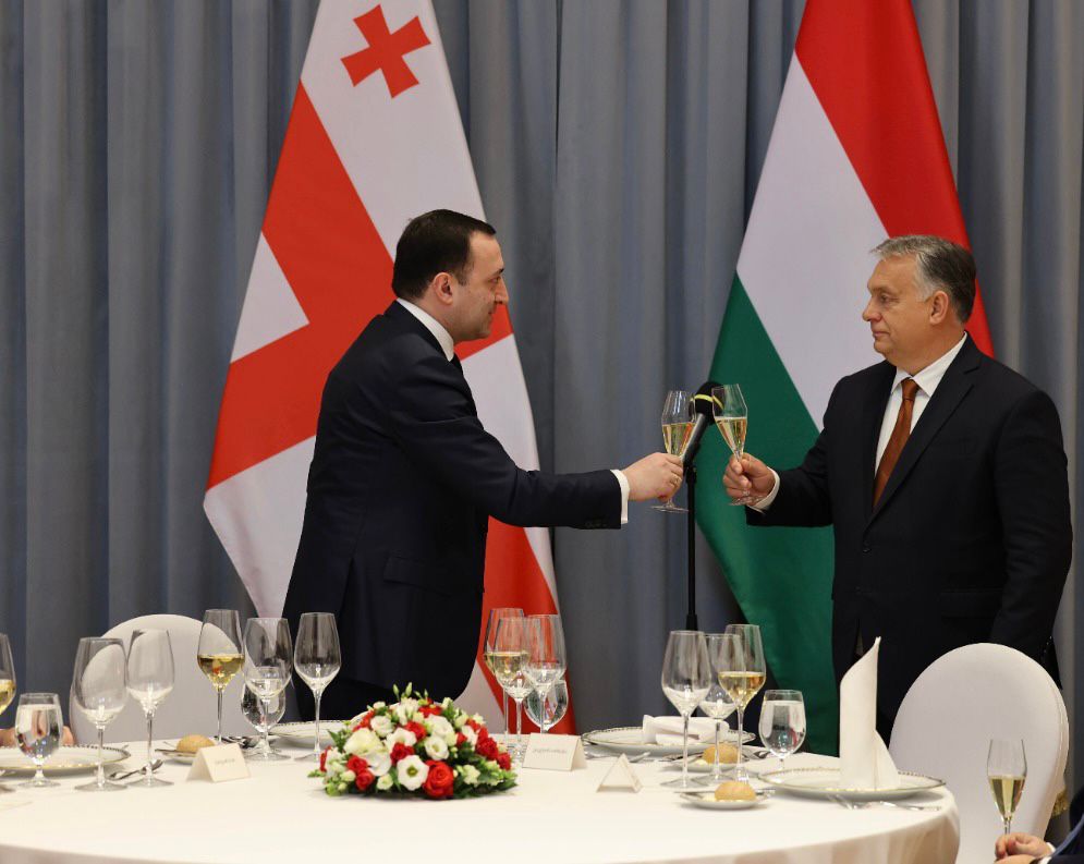 312452831_488352953325723_6308796663824179404_n