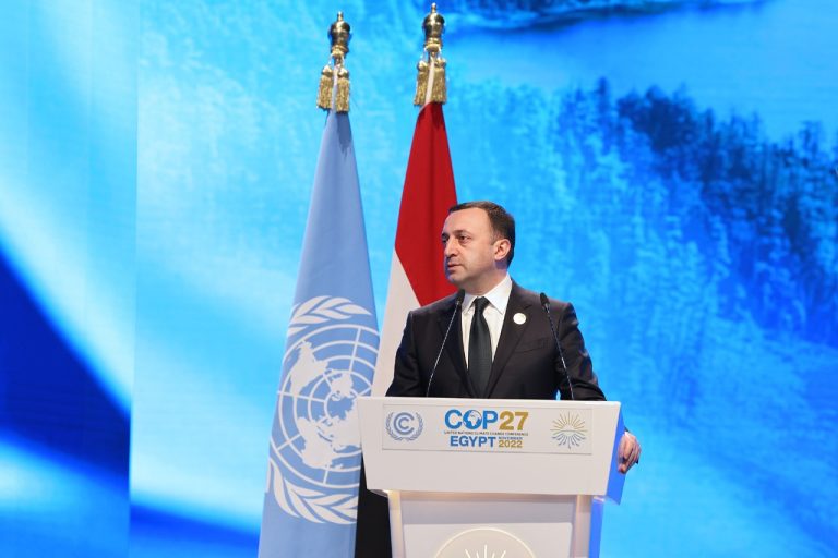 314354001_496977079129977_2472205958239440539_n