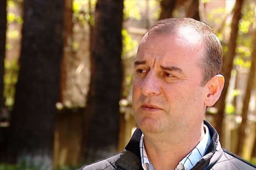 დავით მამისეიშვილი