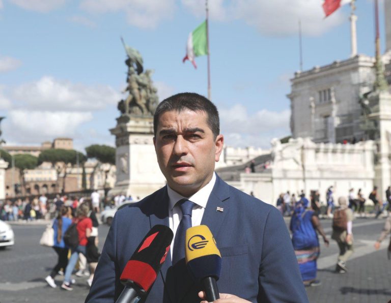 შალვა პაპუაშვილი