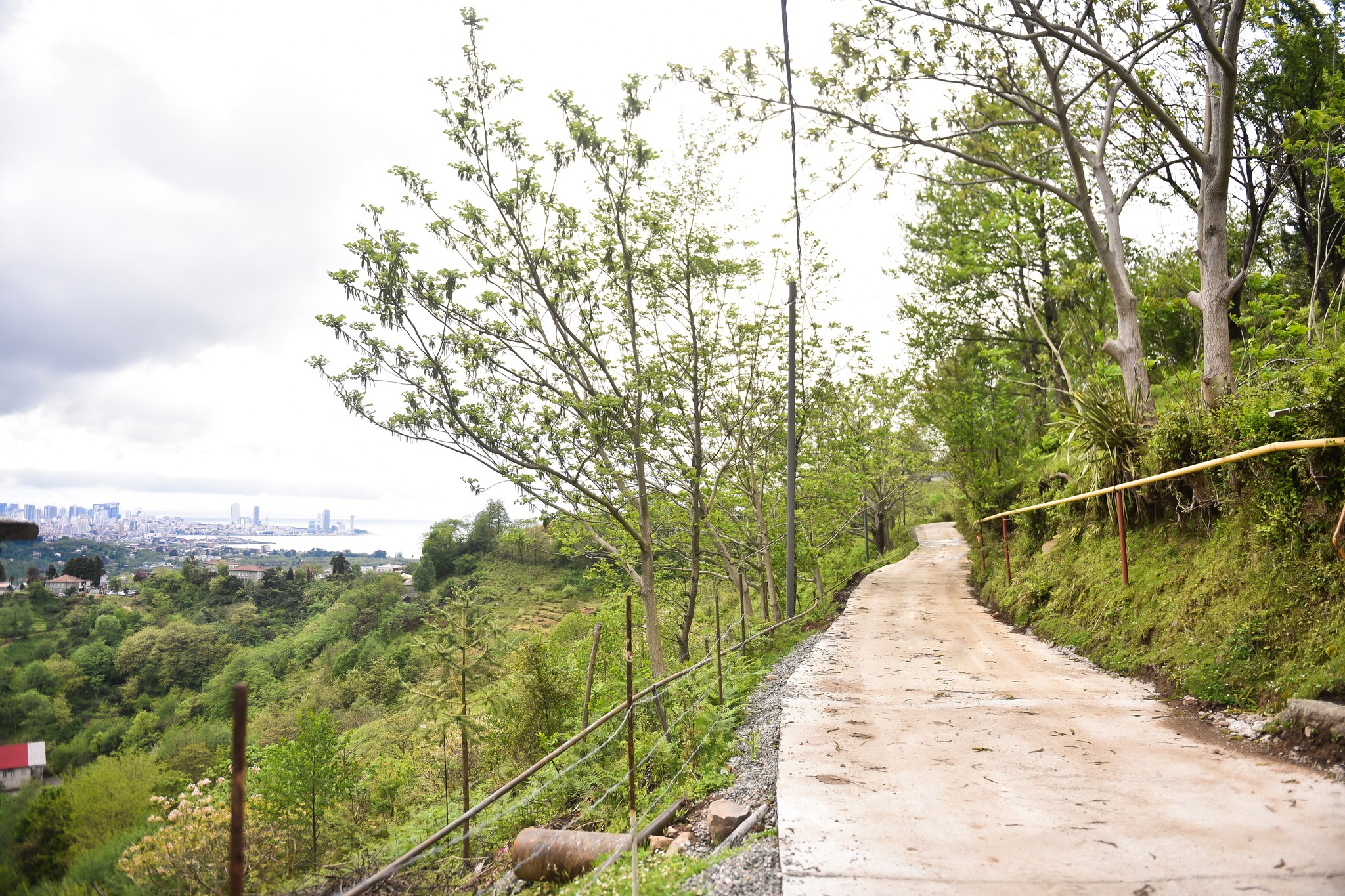 344740795_932695924449543_5826748956334453470_n