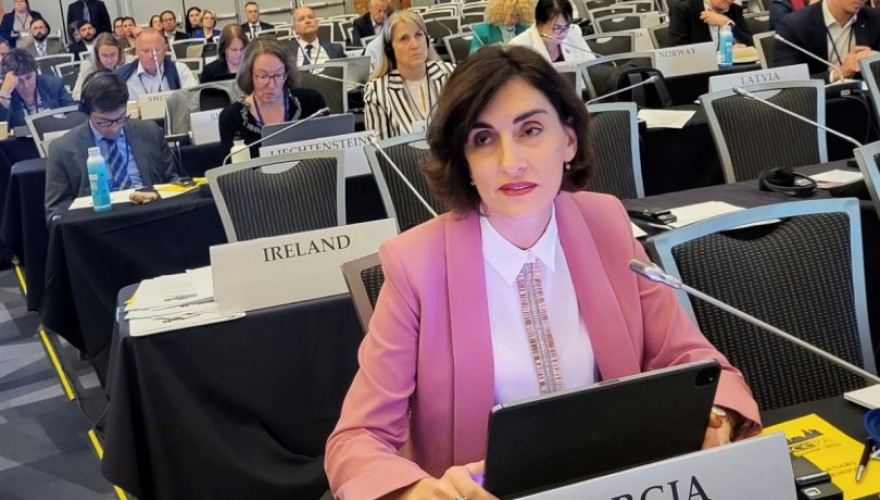 მაკა ბოჭორიშვილი