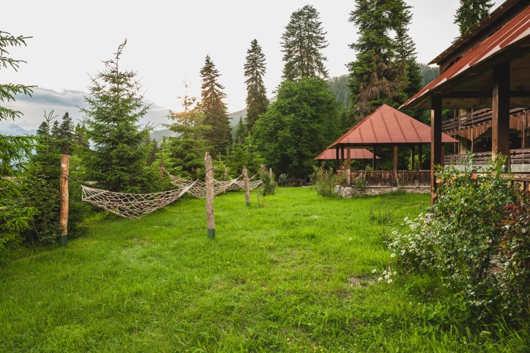 სანსეტ შოვი