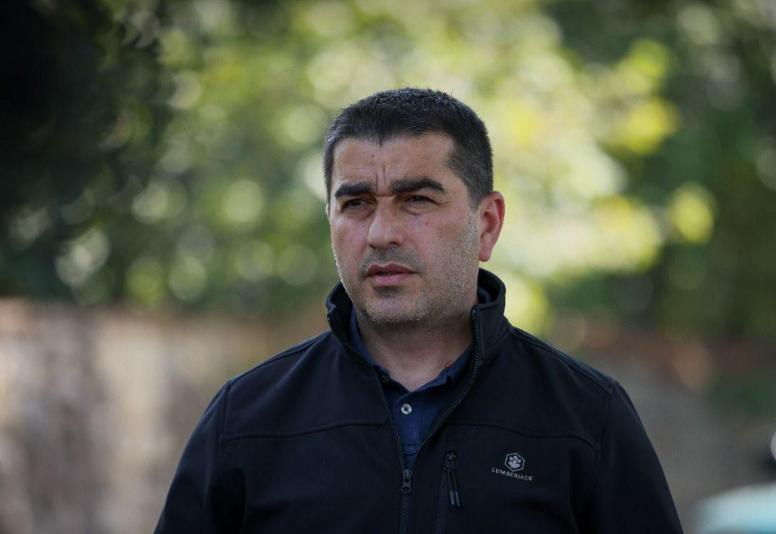 შალვა პაპუაშვილი