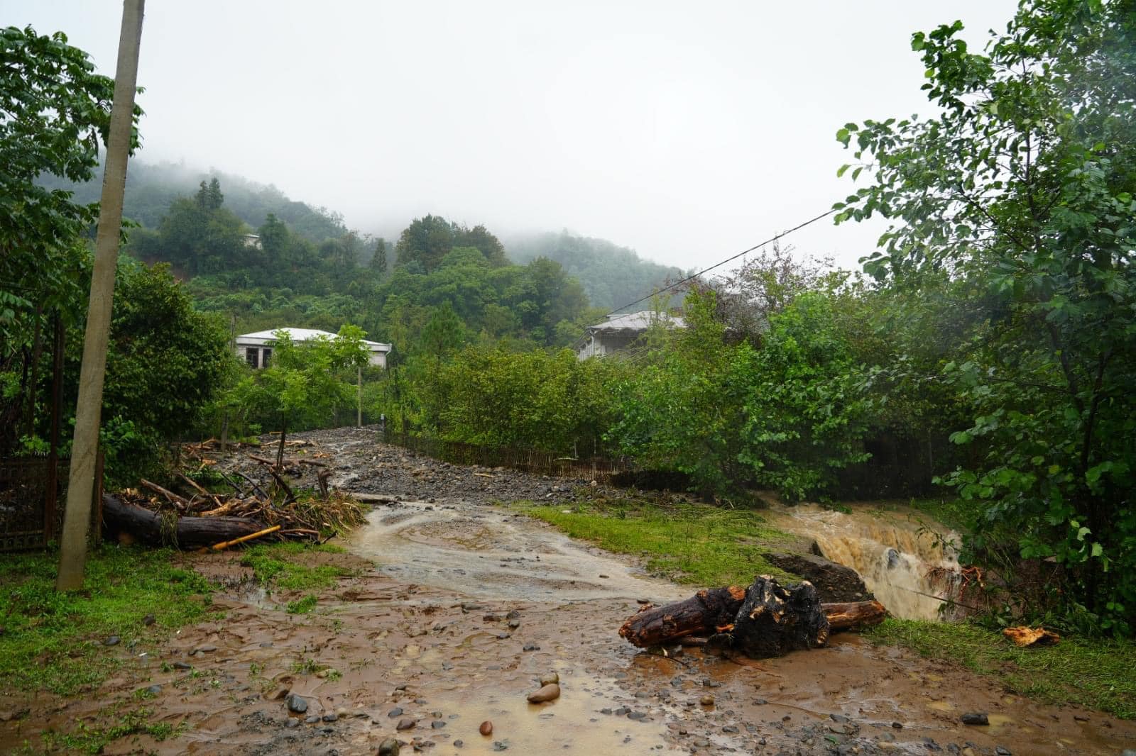 376224403_10226847800558760_8597836567770135683_n