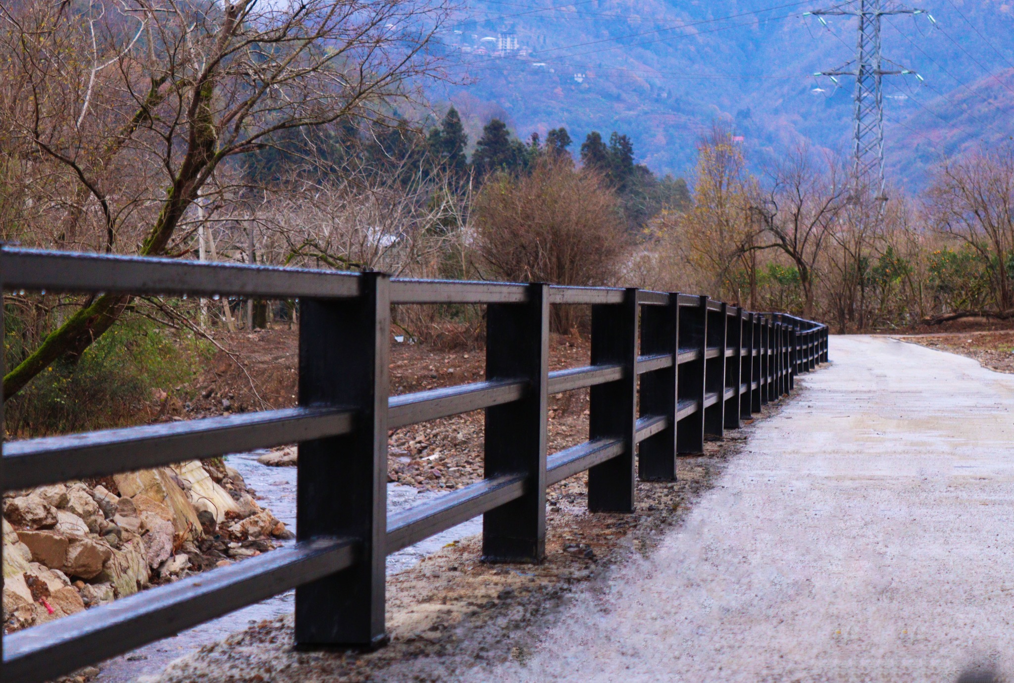 408415434_734075572108364_3604519632896675437_n