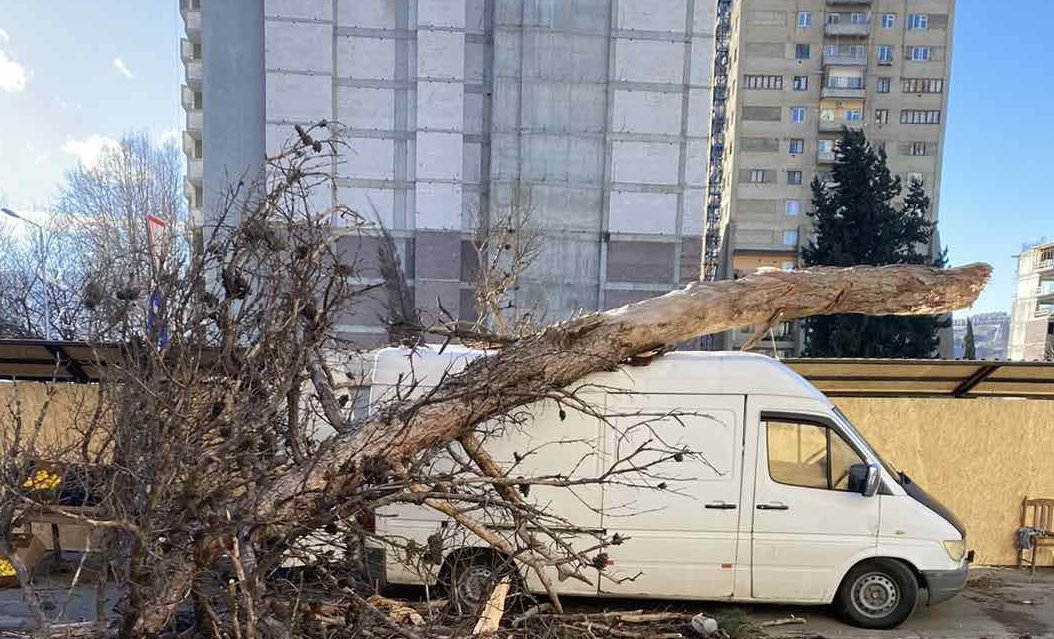 ძლიერი ქარი თბილისში