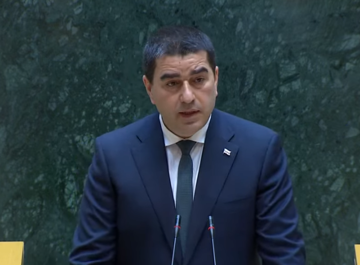 შალვა პაპუაშვილი