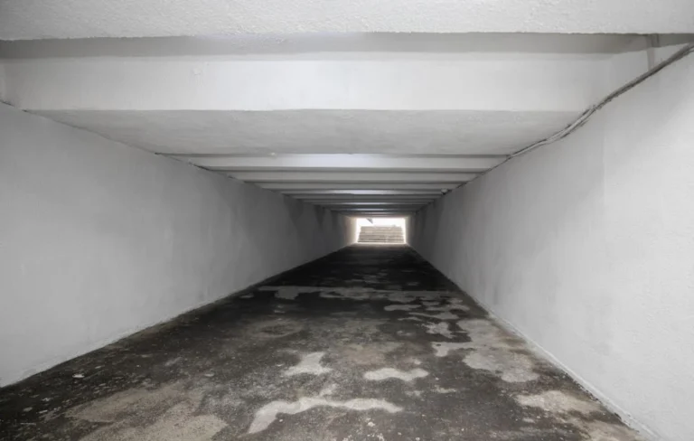 gmirta-moedani-768x488