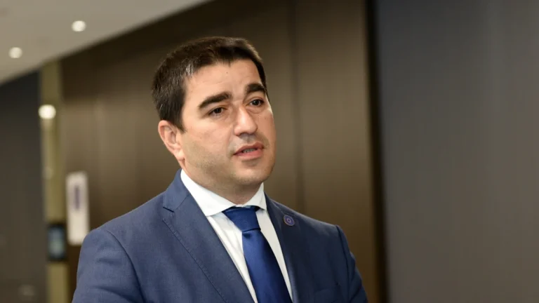 shalva papuashvili
