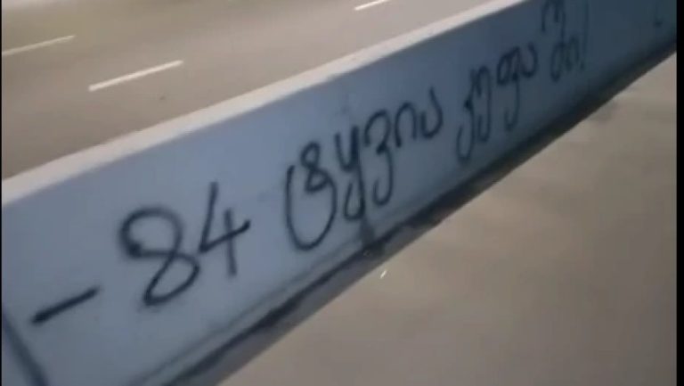 jemniusis-tsarmomadgeneli-parlamentis-tsevrebis-mkvlelobis-mukaris-videos-avrtselebs_w_h