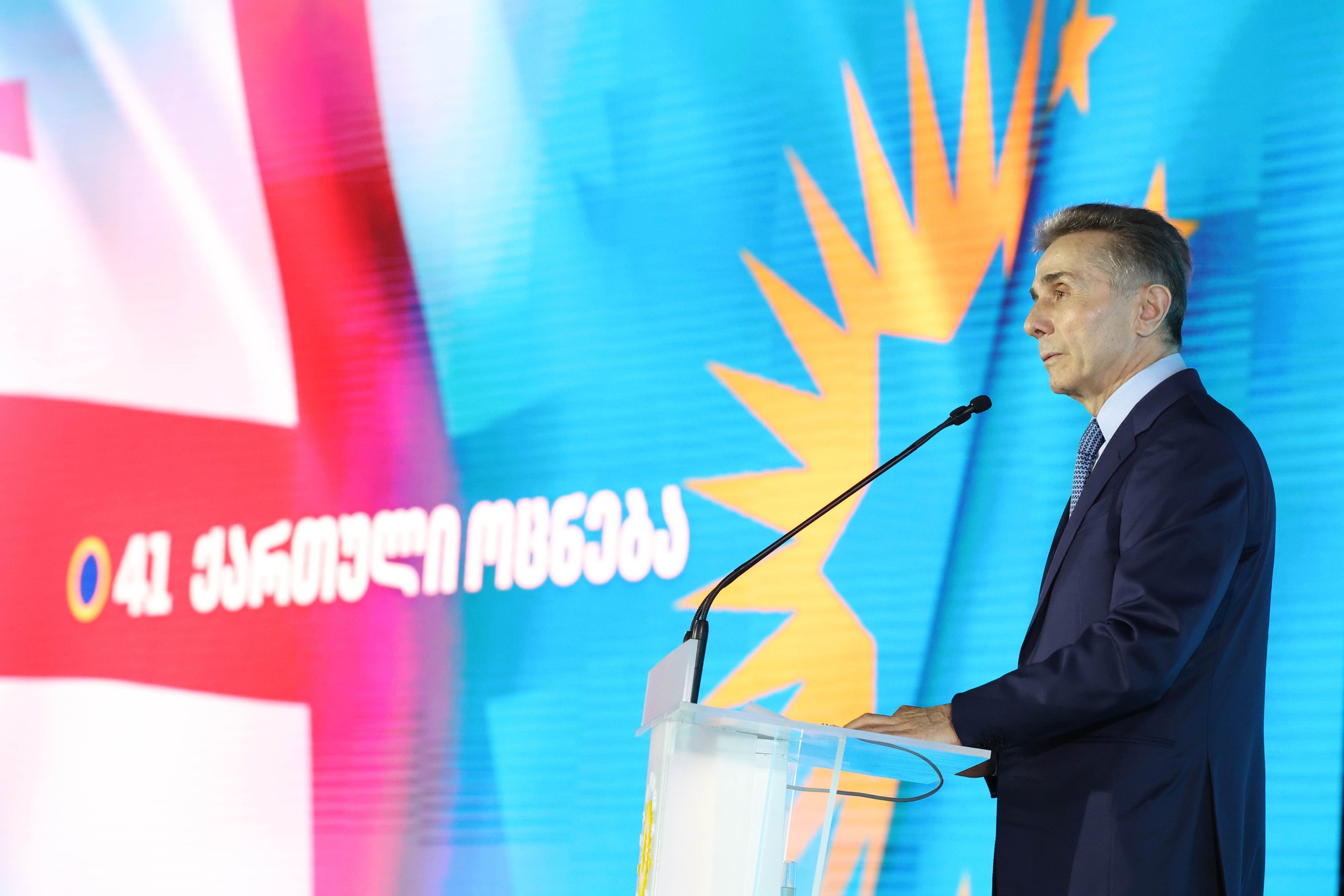 bidzina ivanishvili