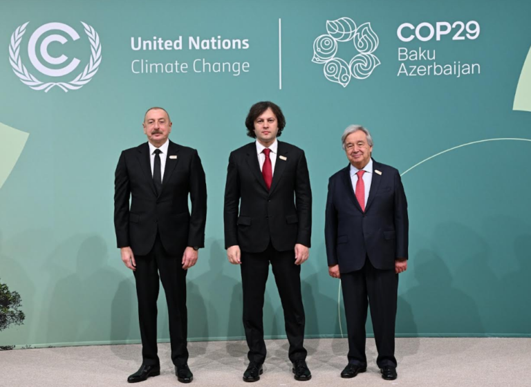 cop29