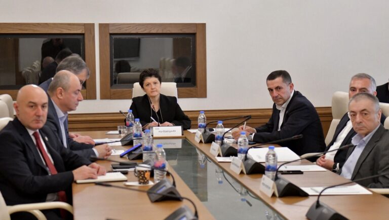 sagamodziebo komisia