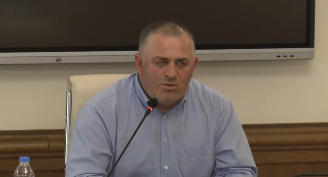 pridon zoidze