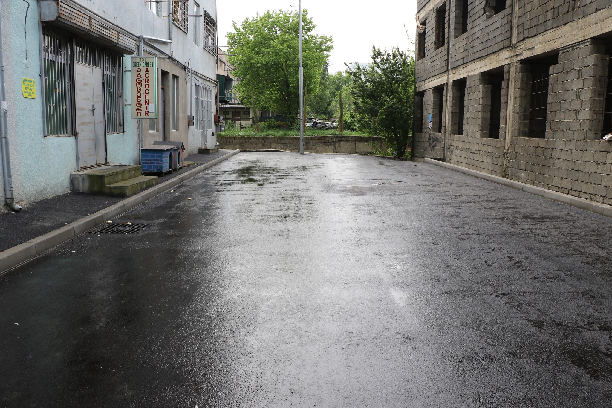 494726229_1119584386877686_3037477368830373069_n