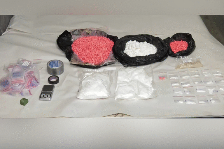 dataimagejpeg-2025-07-06t142359-618