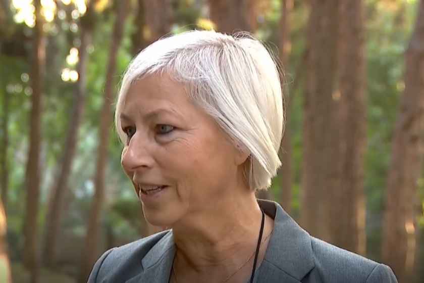katalin chobori