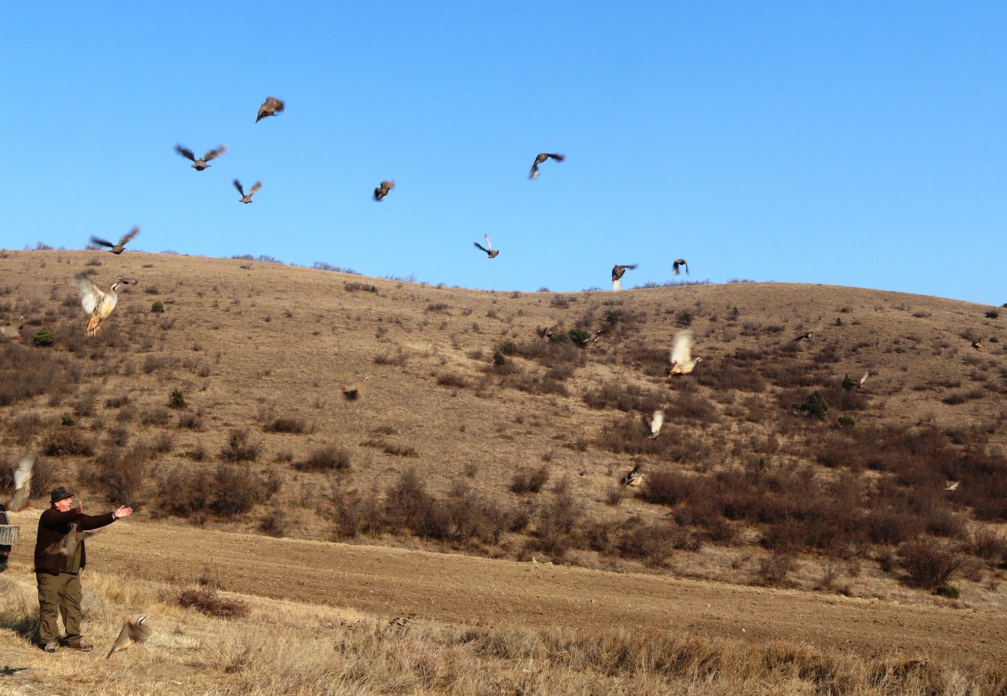 594959730_1248169267343825_1428551365275263819_n